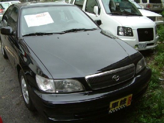 premio 照片1
